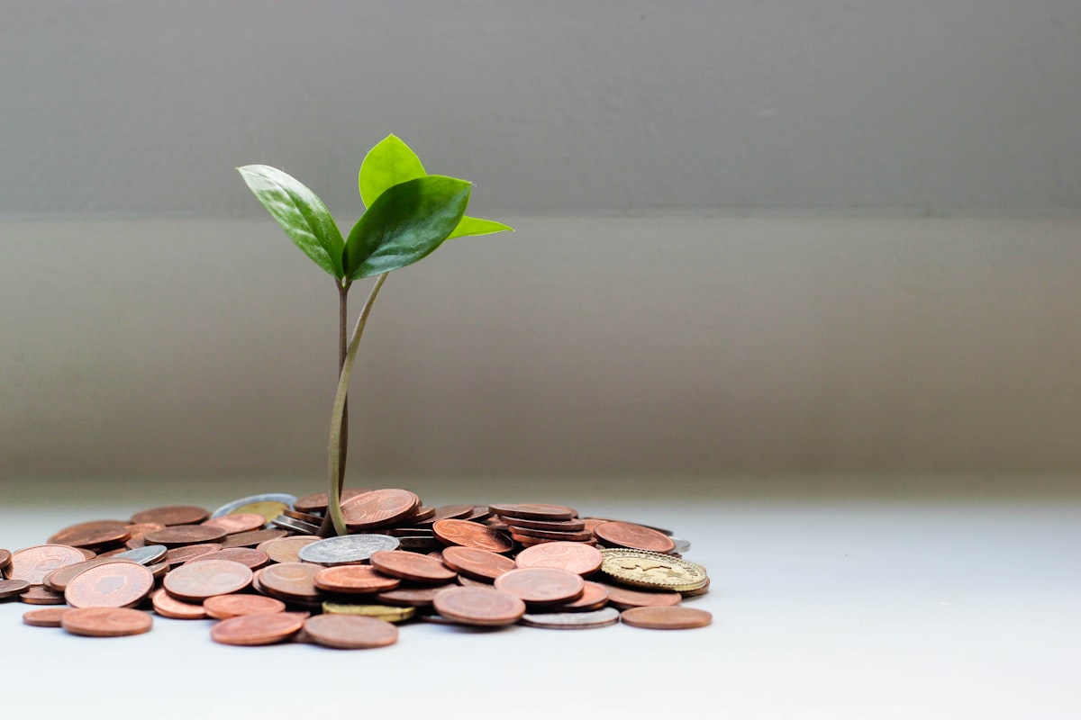 Savings Wallet account